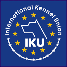 Логотип IKU NEW