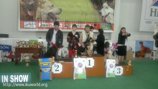 Geogian sport and servis union of professional cynologists and dog-lovers (GSSCU)  -          GSSCU: . 