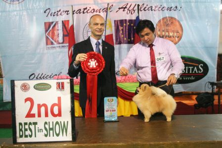 We represent to you ASIAN KENNEL CLUB UNION OF THE PHILIPPINES, INC    On October, 2nd in the Philippines in the city of Manila has taken place Championship Dog Shows of all breeds.
